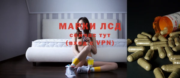мдпв Протвино