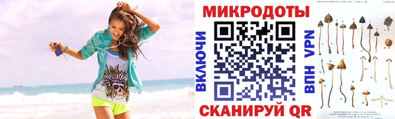 Псилоцибиновые грибы MAGIC MUSHROOMS  как найти закладки  kraken зеркало  Далматово 